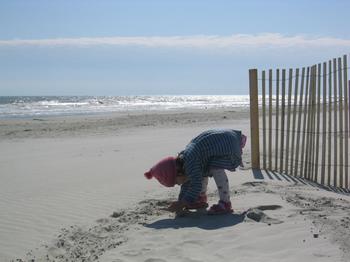 20060219_beach_hilton_head_13.JPG