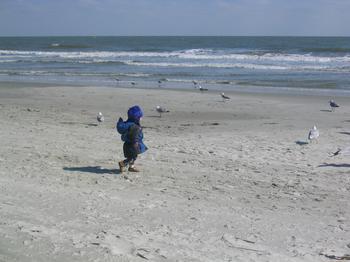 20060219_beach_hilton_head_20.JPG