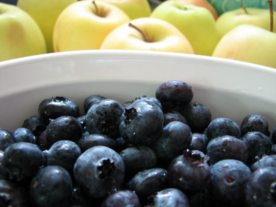 20090729_blueberries_04.JPG