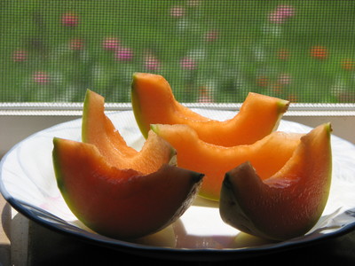 20070813_garden_cantaloupe_1.JPG