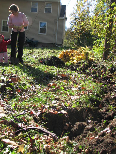 20061029_sunday_afternoon_yard_20.JPG