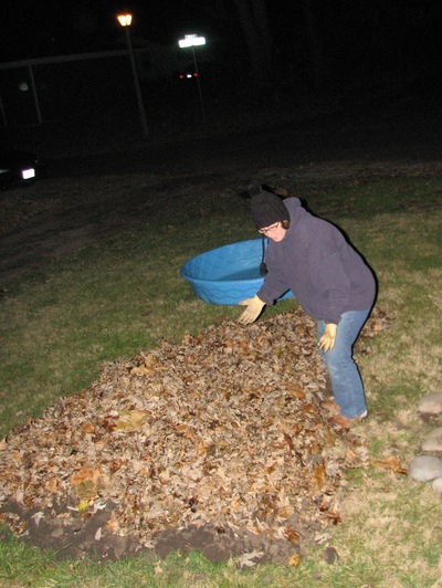 20061109_leaf_rustling_2.JPG