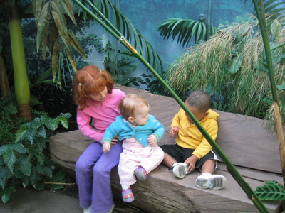 20060404_bloomington_zoo_41.JPG