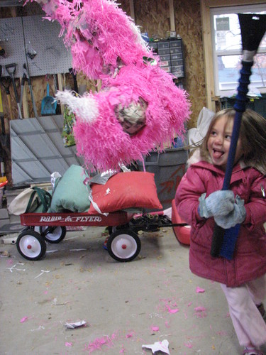 20071125_pinata_star_party_18.JPG