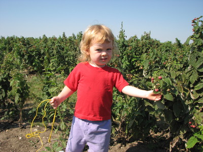 20070904_picking_raspberries_1.JPG